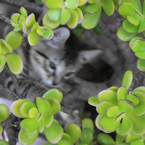 Meet your Posher, Tegan